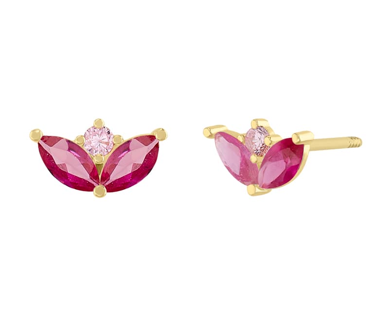 Tulipán marquise ruby