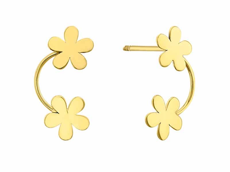 Dos flores