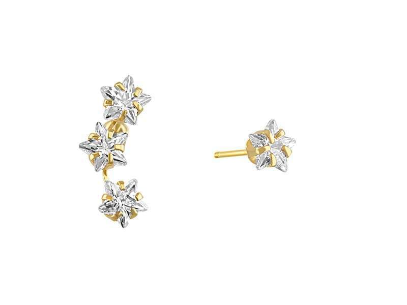 Arete Estrella Desigual